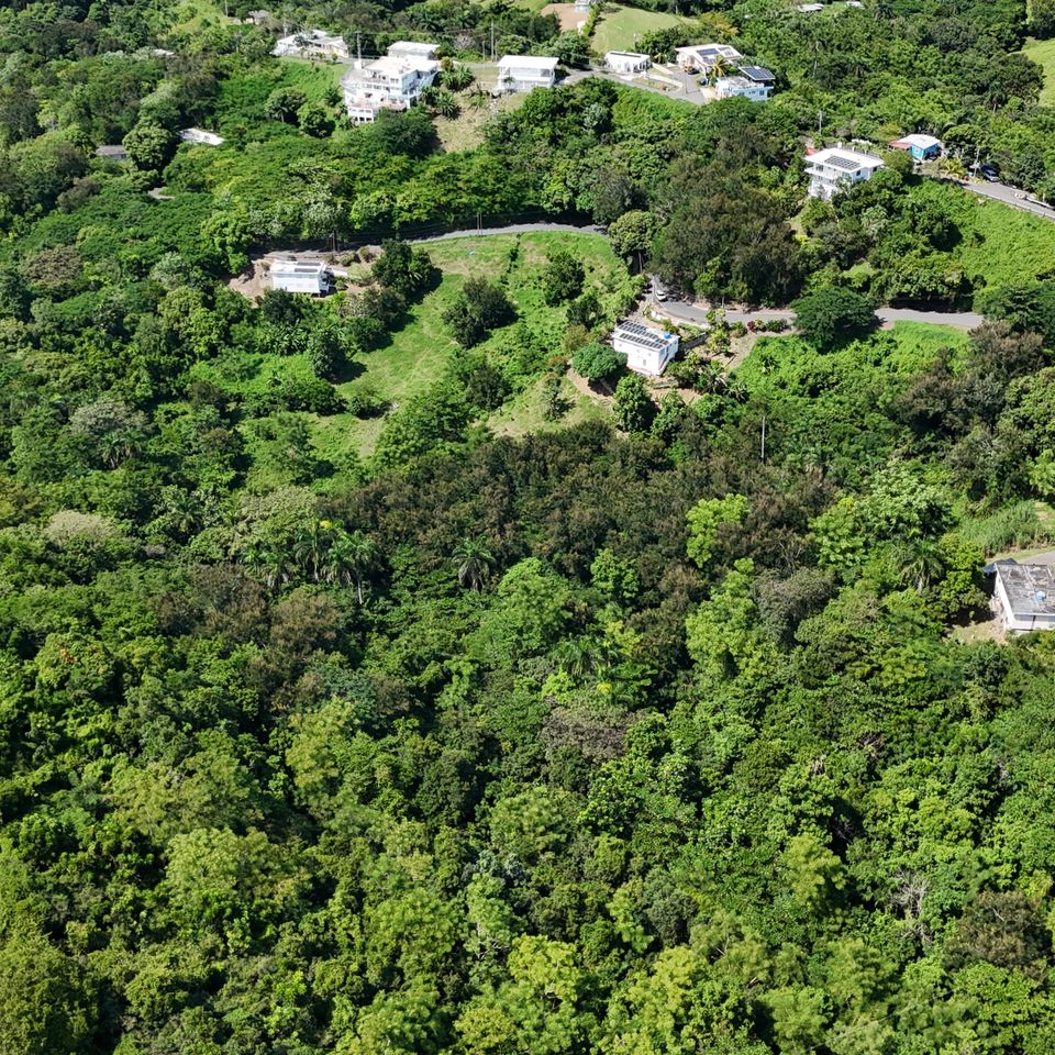 Dji 20251017133450 0891 d 2