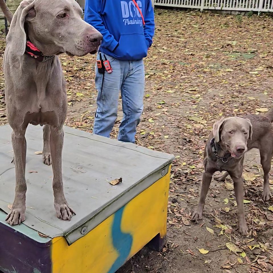 20251031 121317 exported 58620