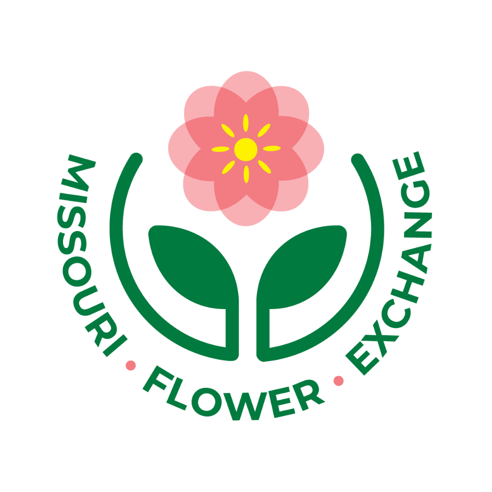 Mfe (1)