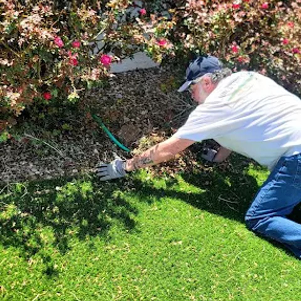 Received 667422201904345