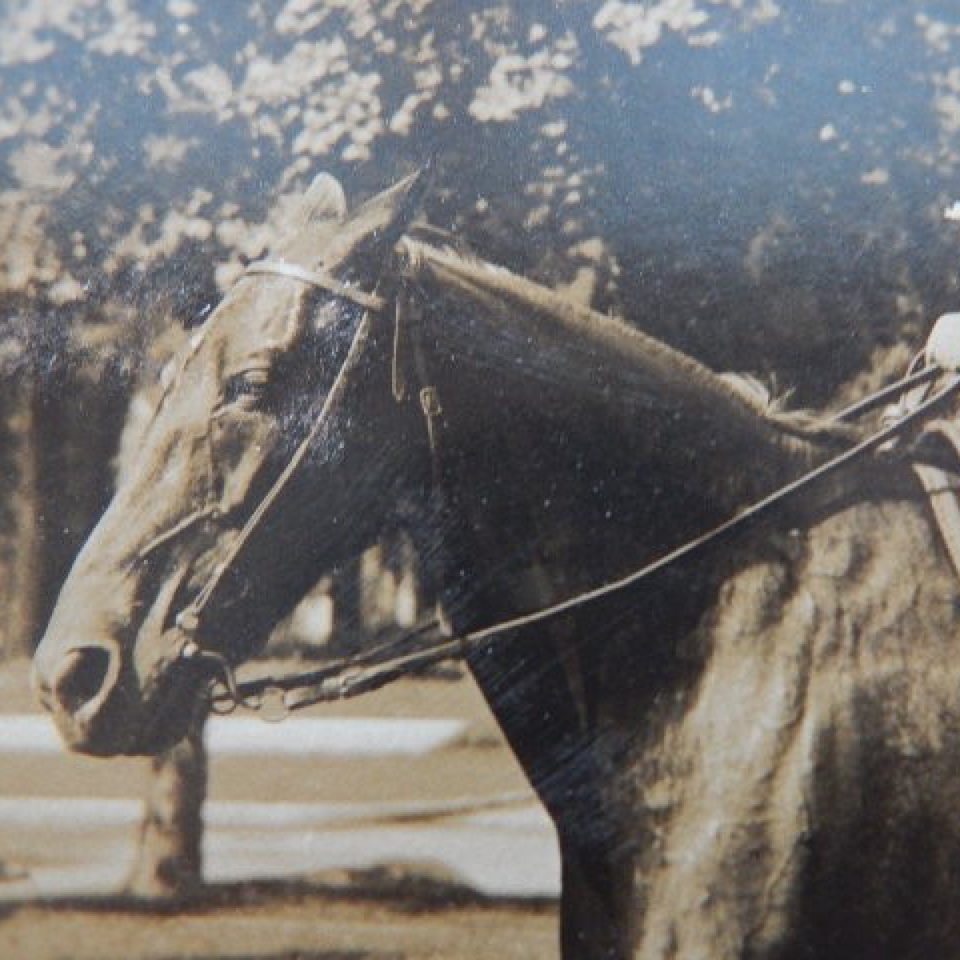 Albumen  confederate colonel heiskell on horseback ucv files520170915 9127 1r6lg36