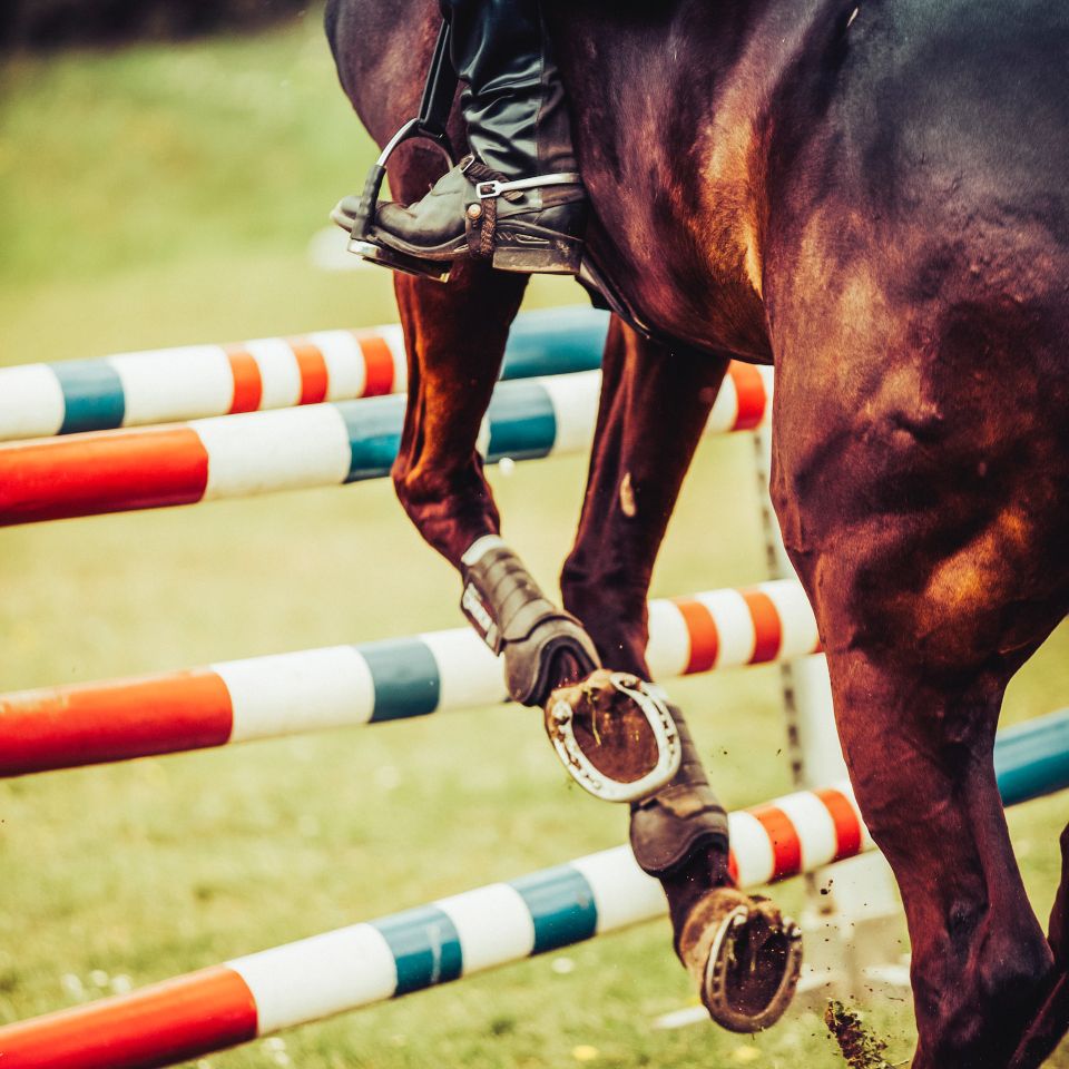 horse riding tips and tricks