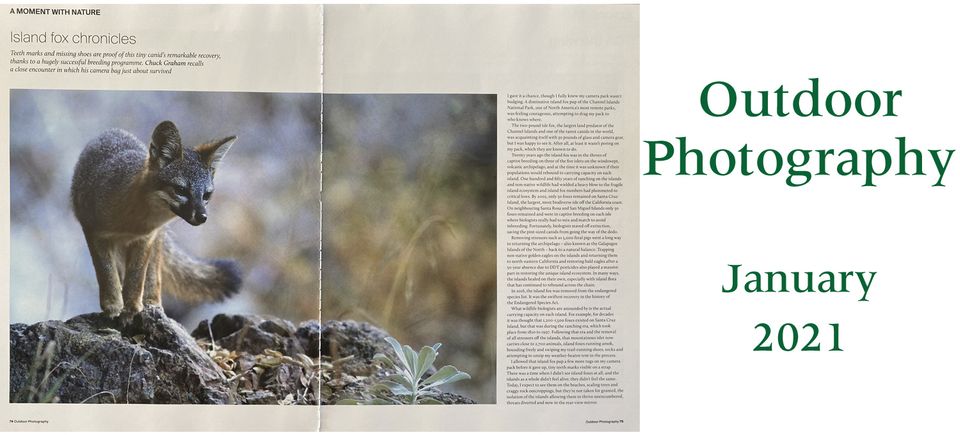 Outdoor photography january 2021
