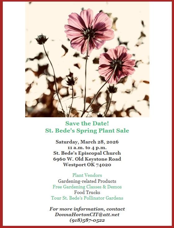 Screenshot 2026 03 08 141240