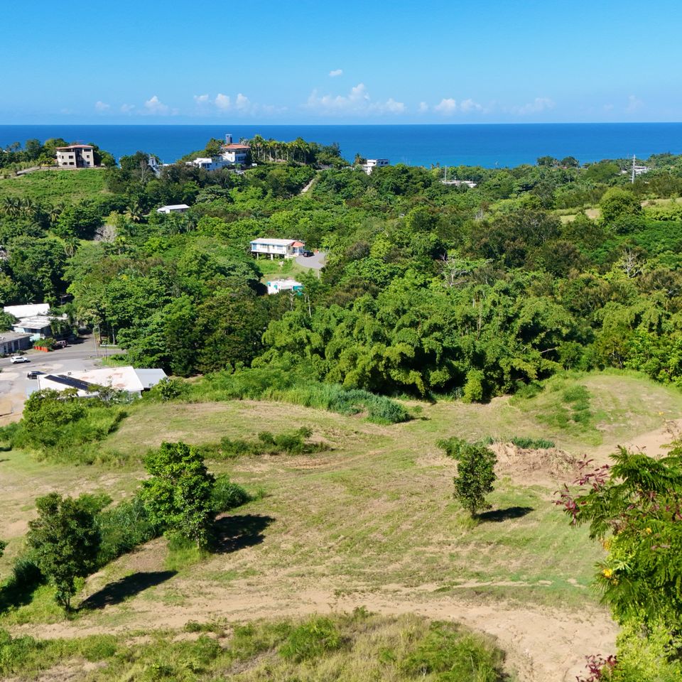 Dji 20260925095534 0425 d