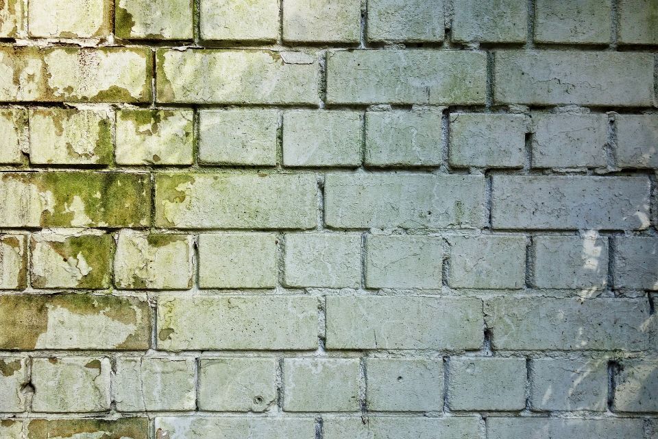 Brick wall g3ca2af5e9 1920