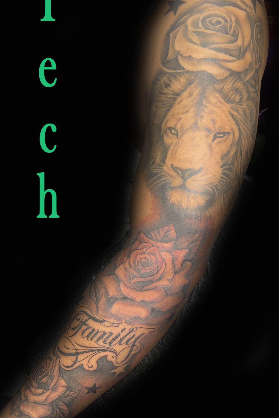 Tech lion sleeve
