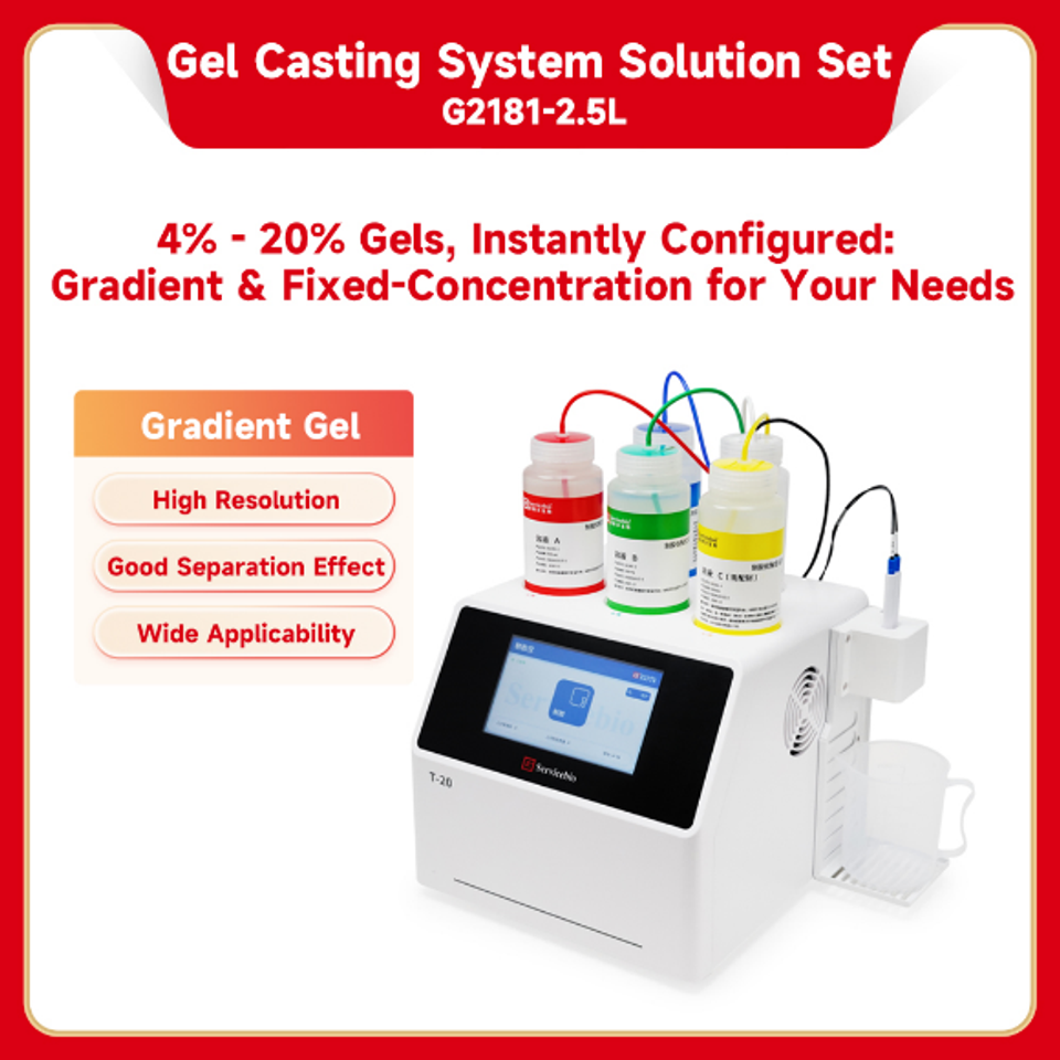 Be g2181 2.5l 2