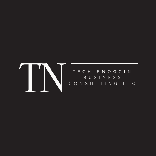 Techie Noggin Business Consulting