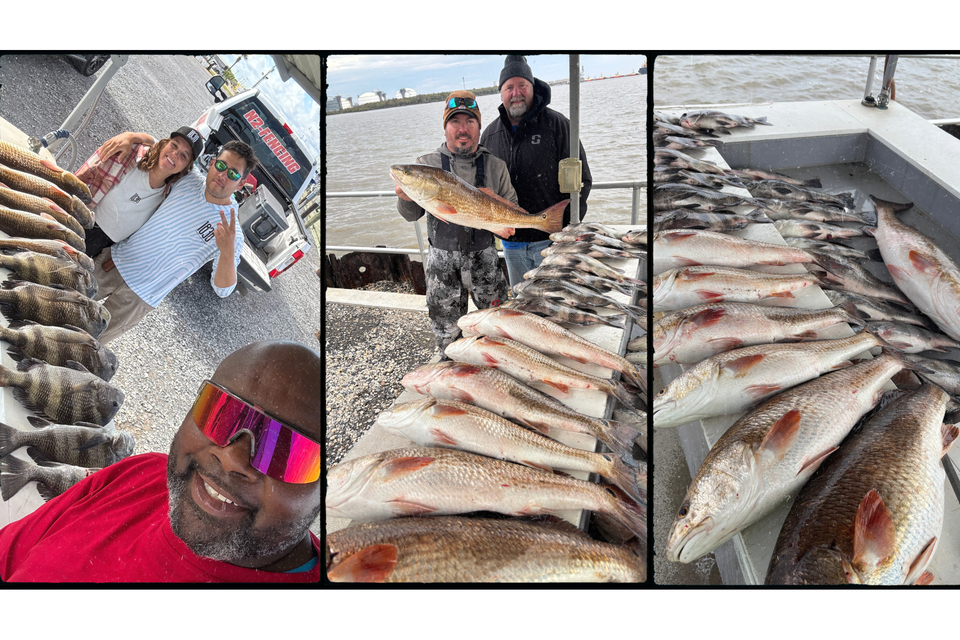 N2 fishing charter pictures