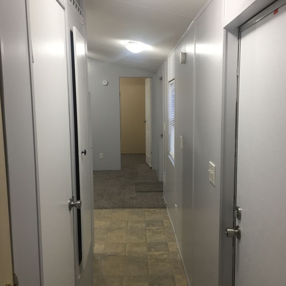 Img 1772