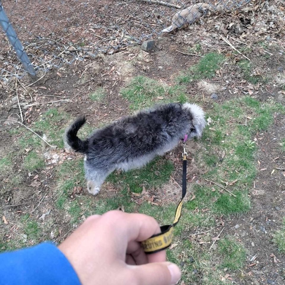 Screenshot 20241215 181241 photos