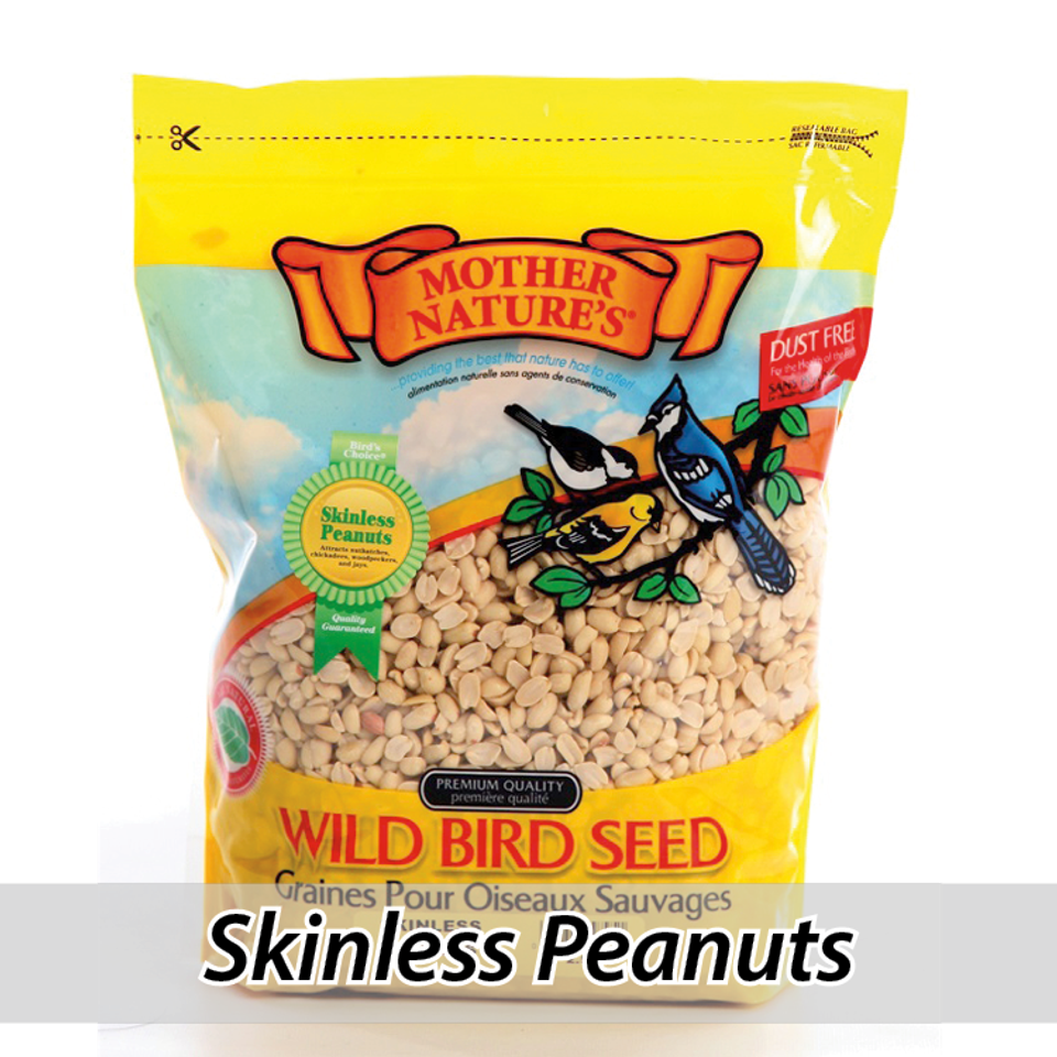 Mother nature's wild bird seeds920150926 15680 g6lzho