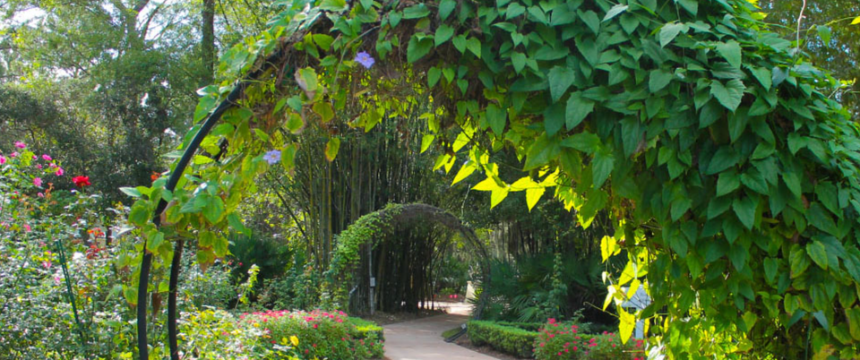 Botnical gardens
