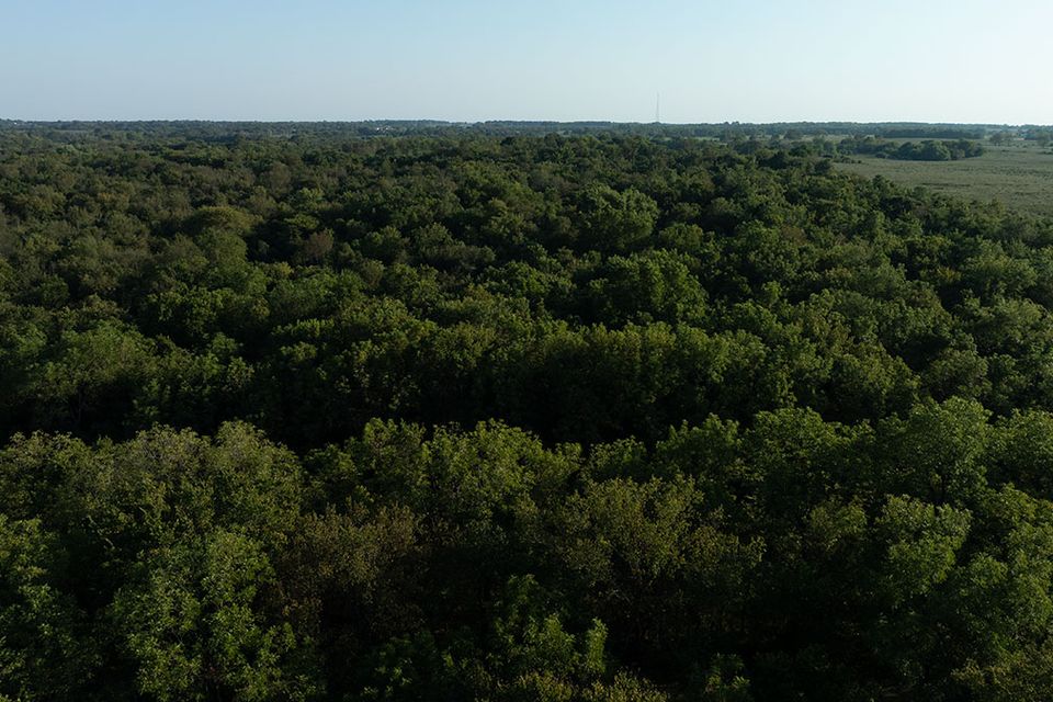 38 acres wentworth missouri 13