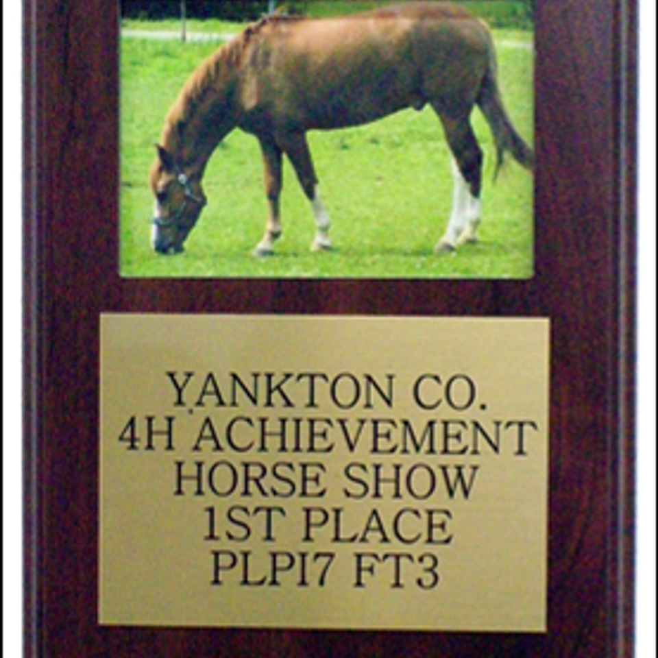 Nineteen20160830 31558 fz1lyg