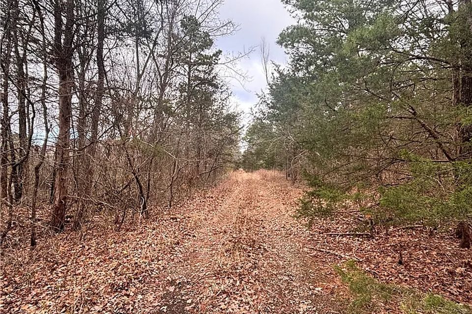 3154ee85bf47eccca12485d527a494fd cc ft 768