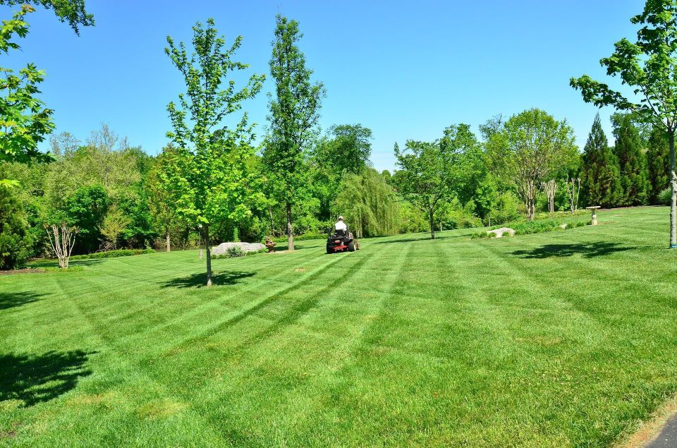 Full Service Professional Commercial Lawn Care | Meridian, ID