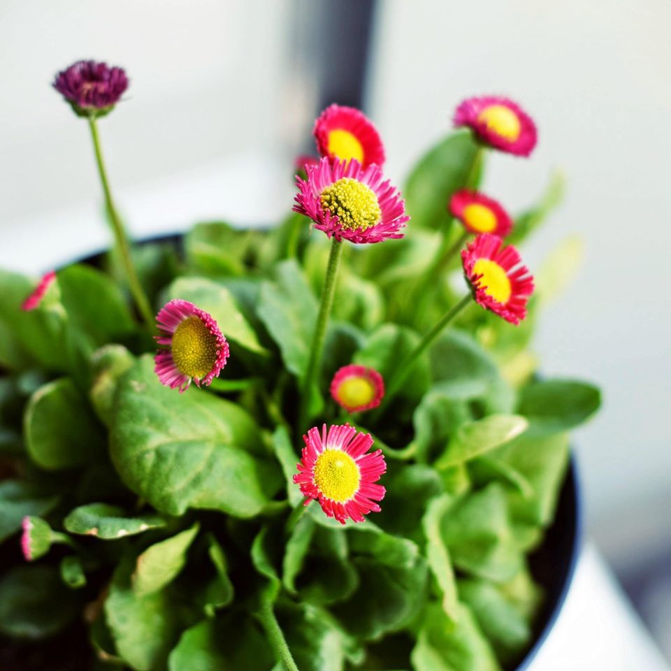 Tim gouw gpgpemmpq m unsplash