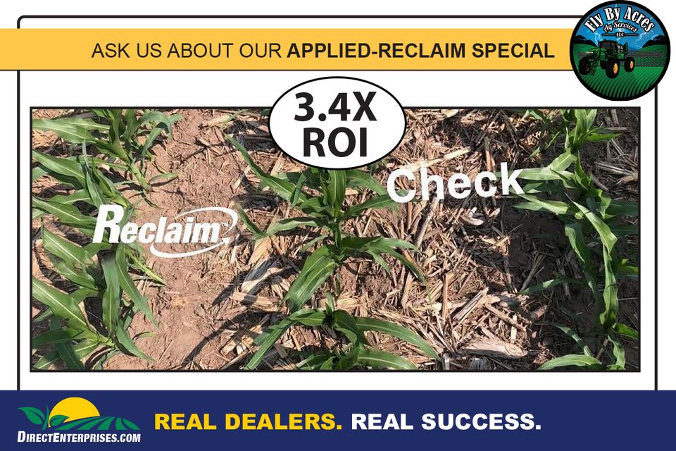 Fly by storyboards 20250823 7