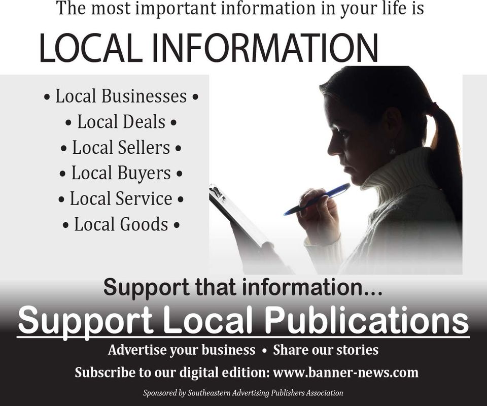 Sapa web ad rectangle banner