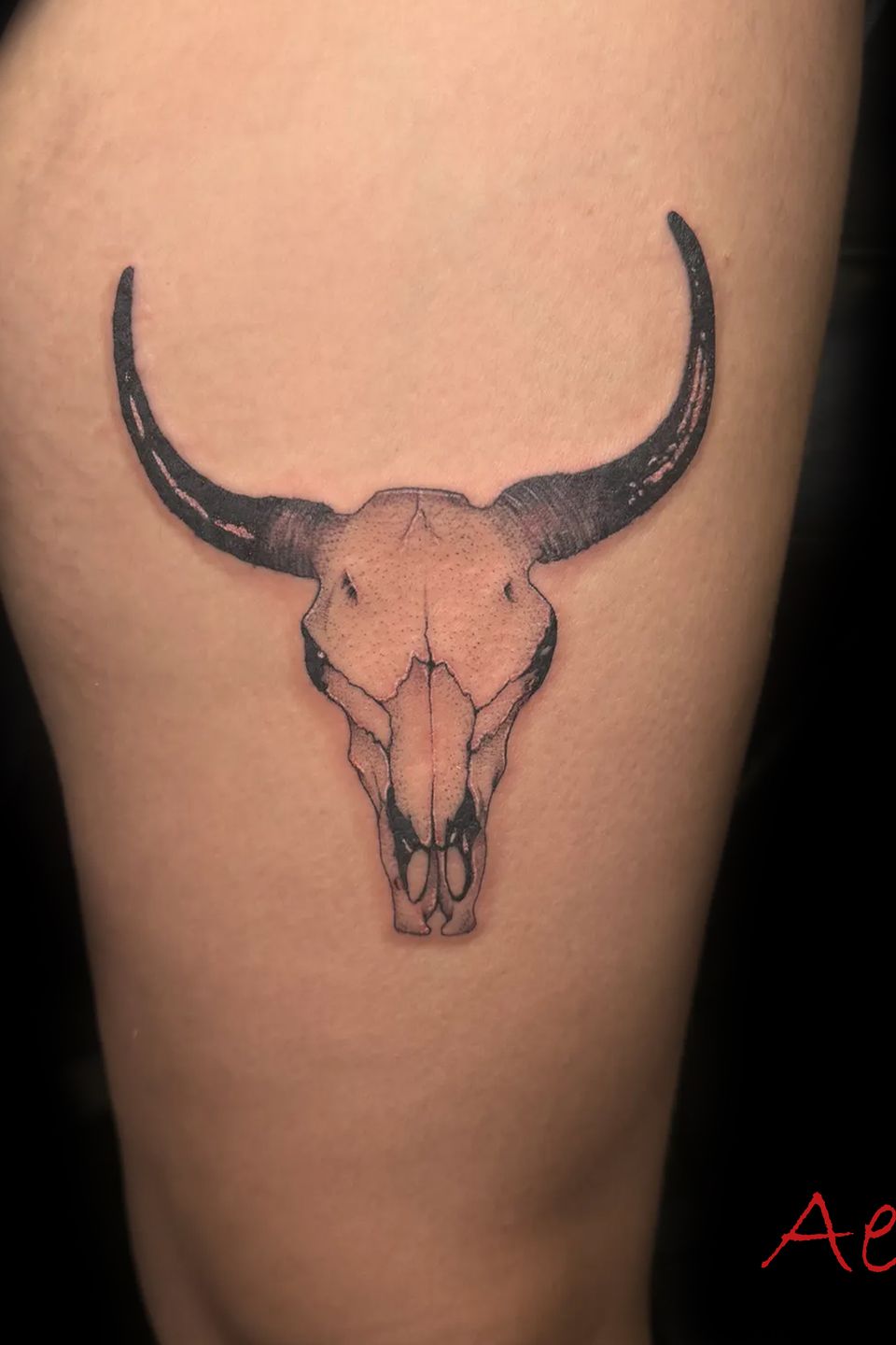 Aerin cow skull