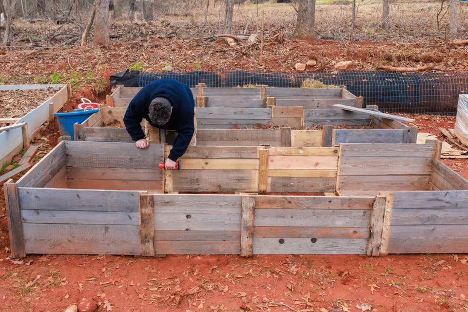 Project full plate gallery infastructure 1