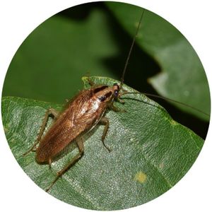 80fb32a2 752f 4483 9cd4 b7c90129e6da