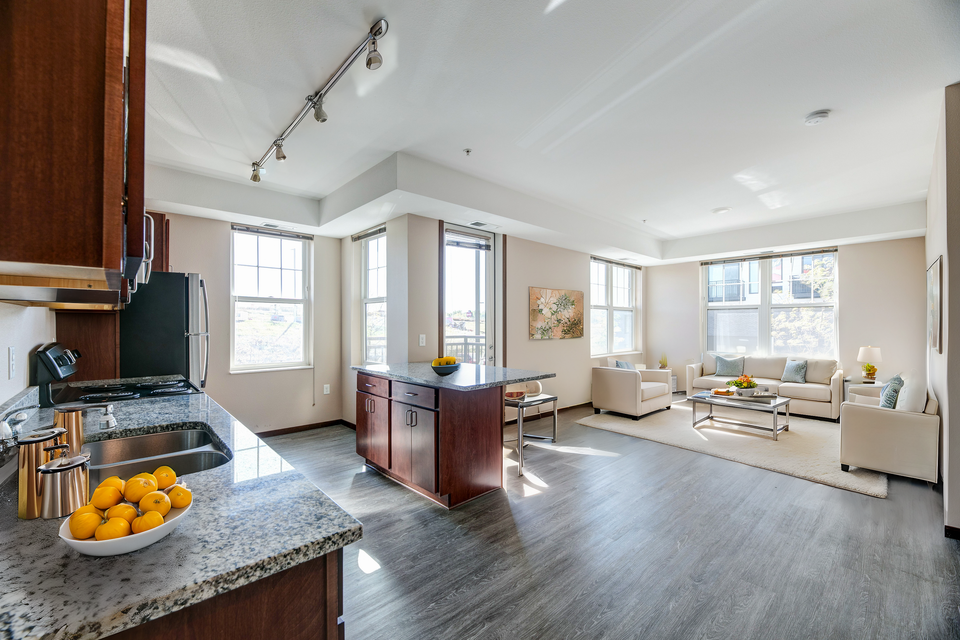 100129049 04 hdp capitalview fp1 kitliv   kitchen   luxury   0