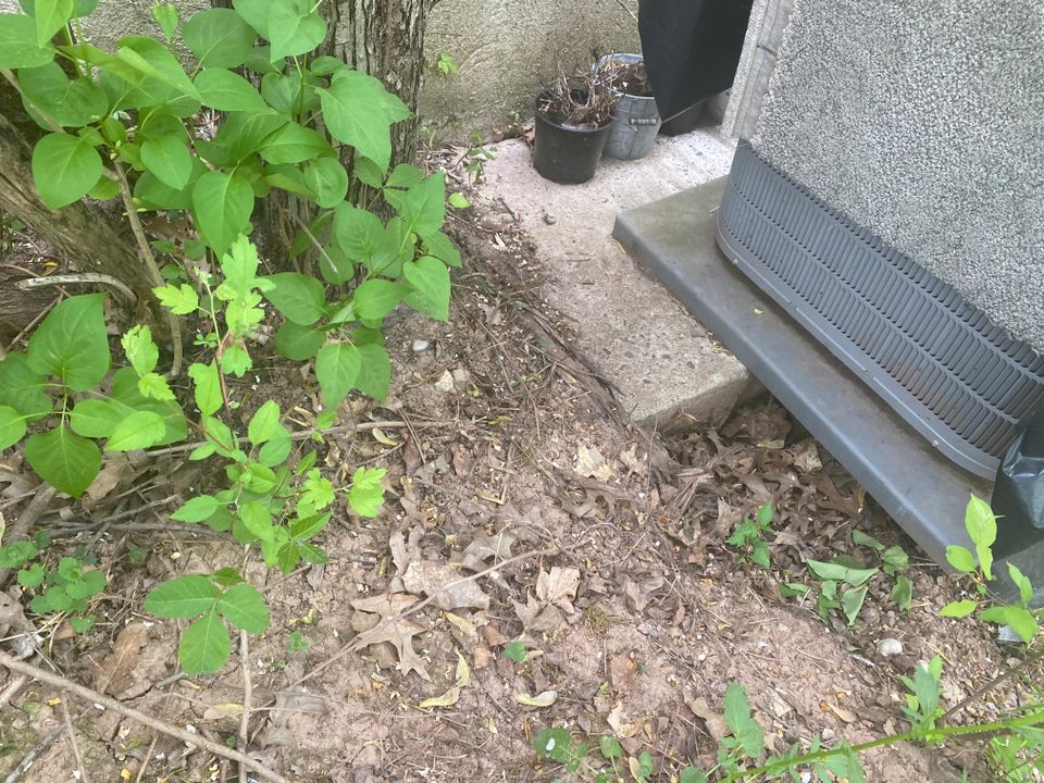 Img 3655