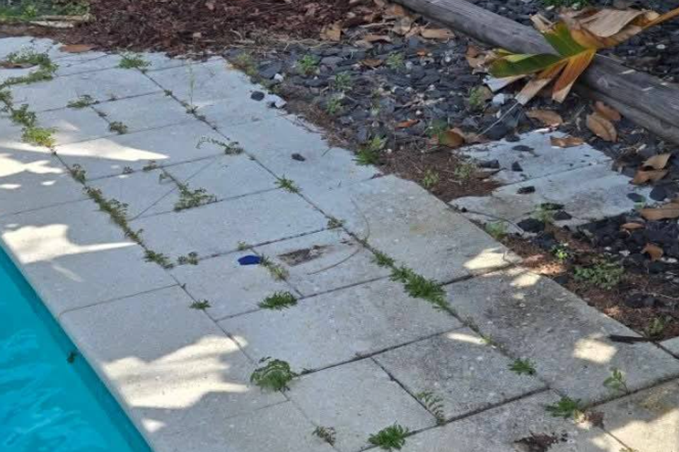 Screenshot 2025 11 04 093720