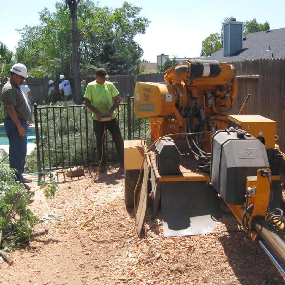 Precision stump grinding near a residential pool to safely clear landscaping hazards – Bud’s Tri-County Tree Services Inc. – Licensed #785788