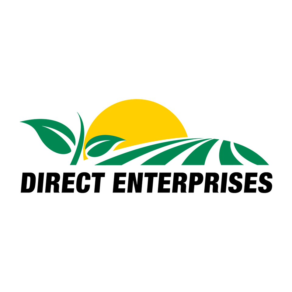 Direct enterprises logo 20260101  web