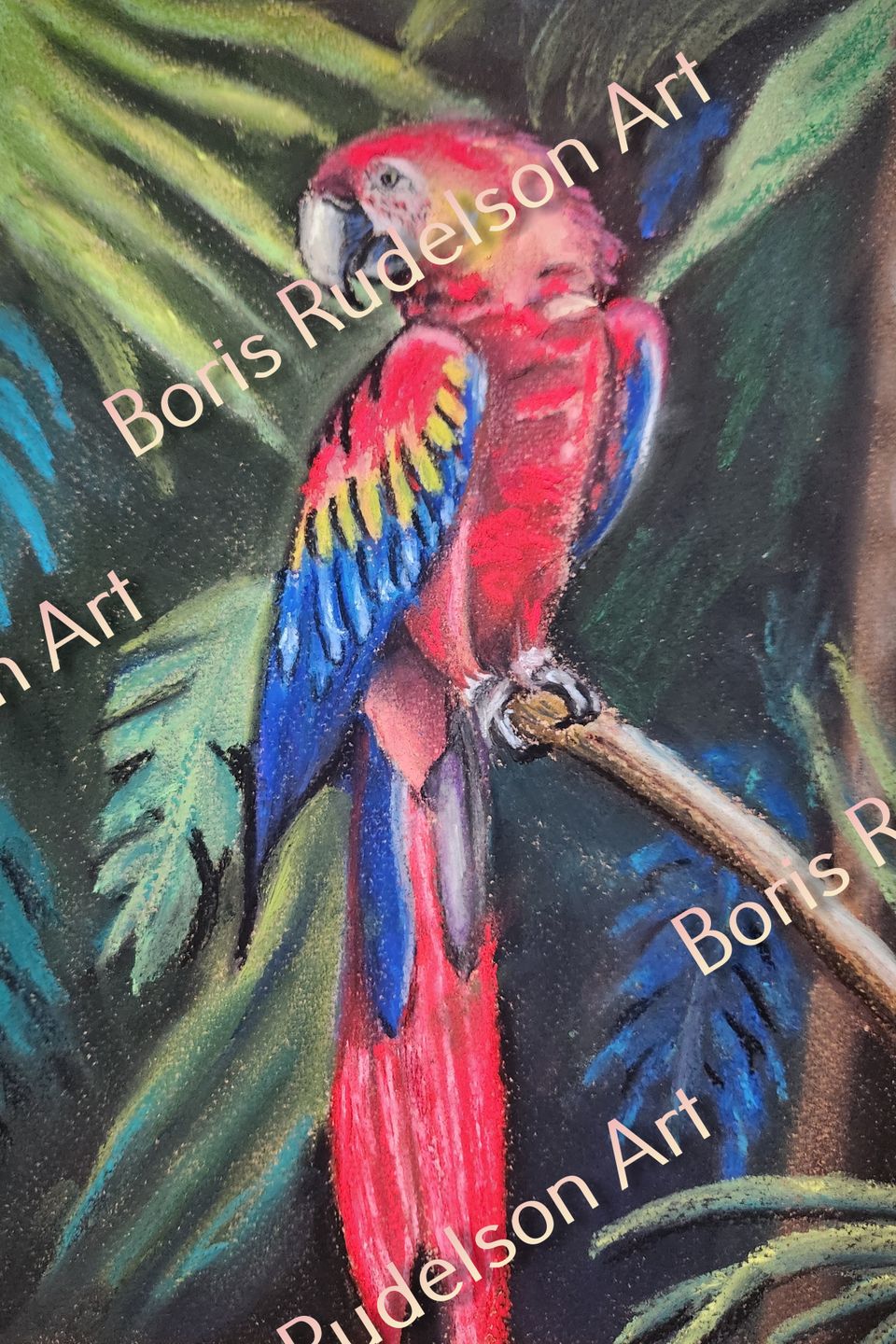 Pastel. Parrot 