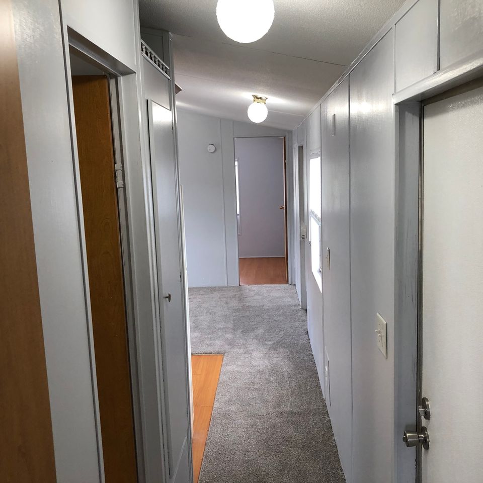 Lot 81 hall