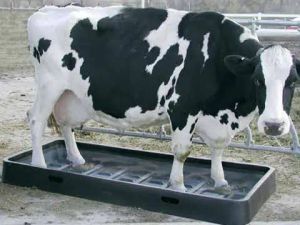 Pd 2175 foot bath
