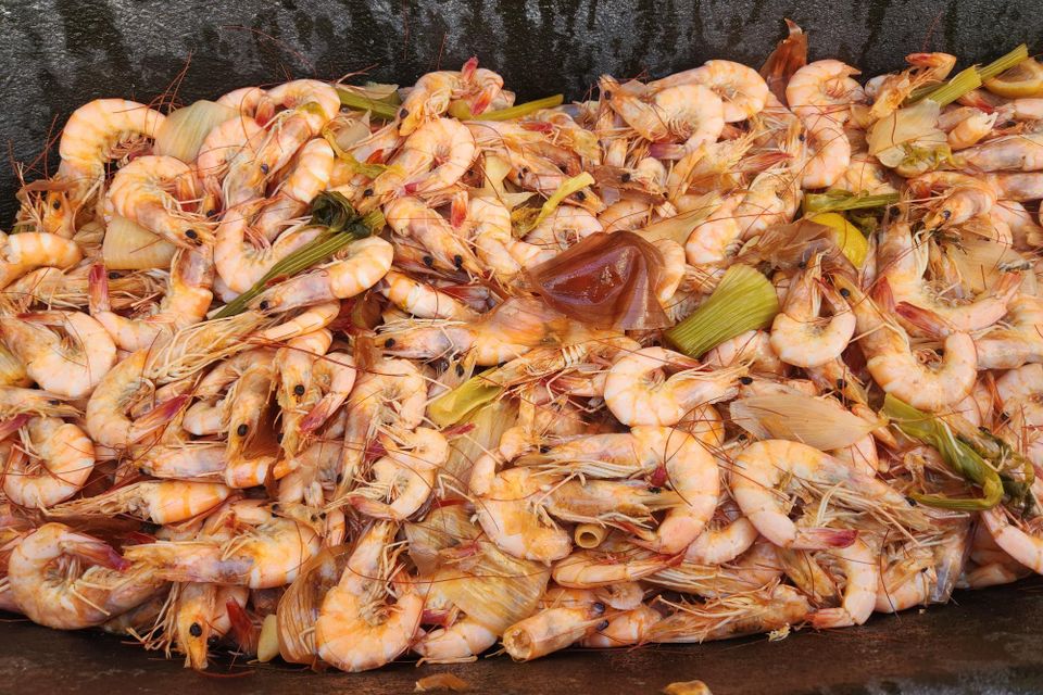 Image of a hot boiled Louisiana shrimp straight out of the pot.