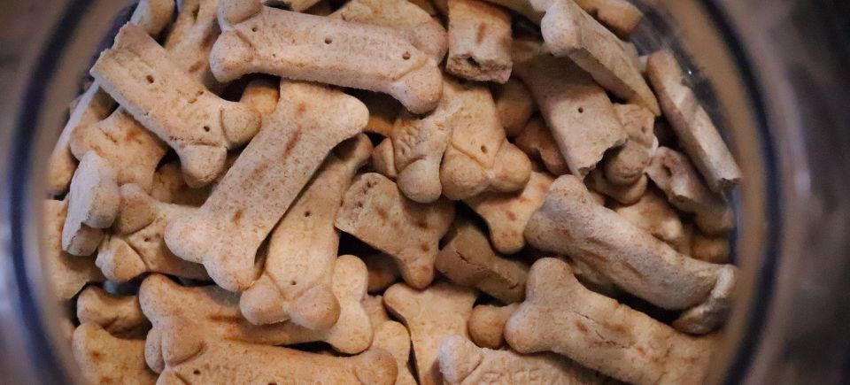 Dog treats g85393476e 1920
