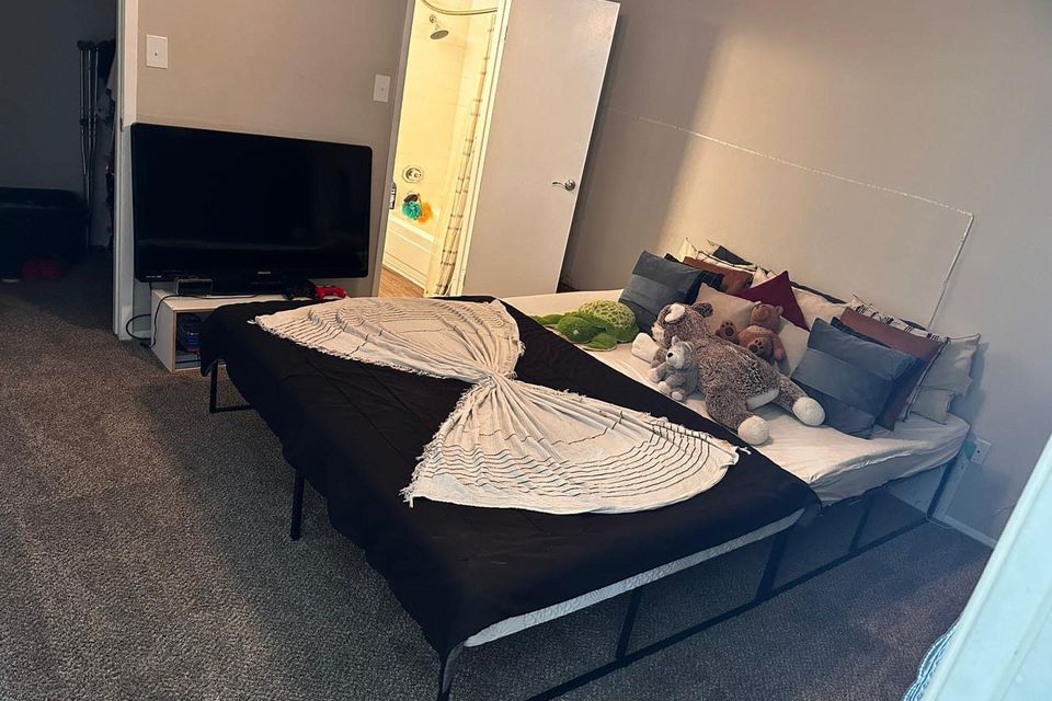 Img 2469