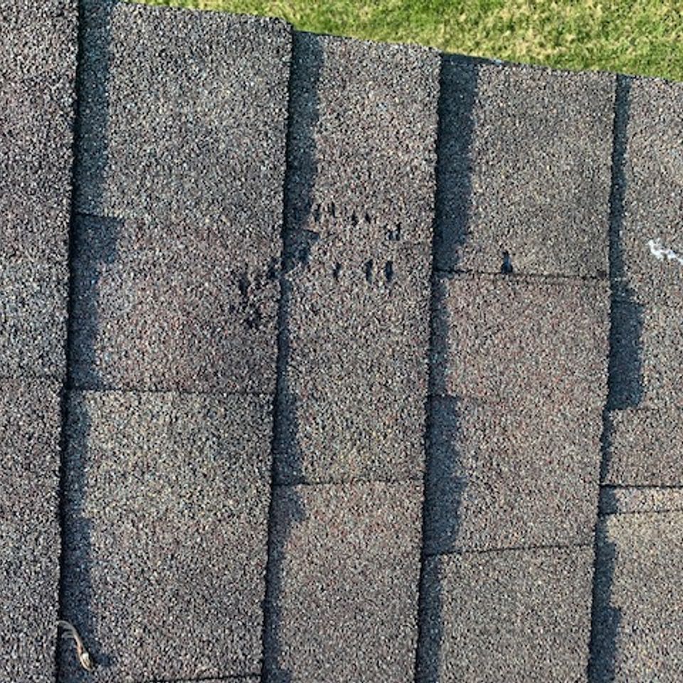 Img 2710