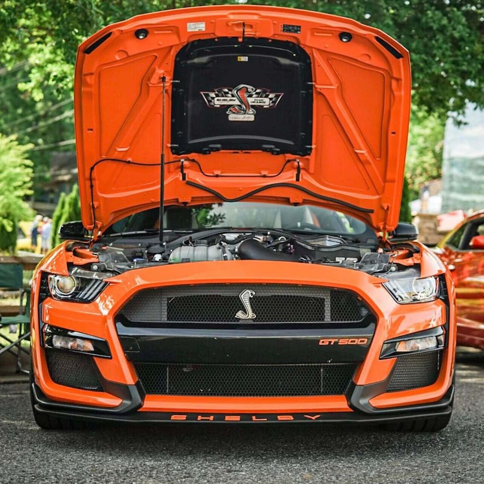 Cobra