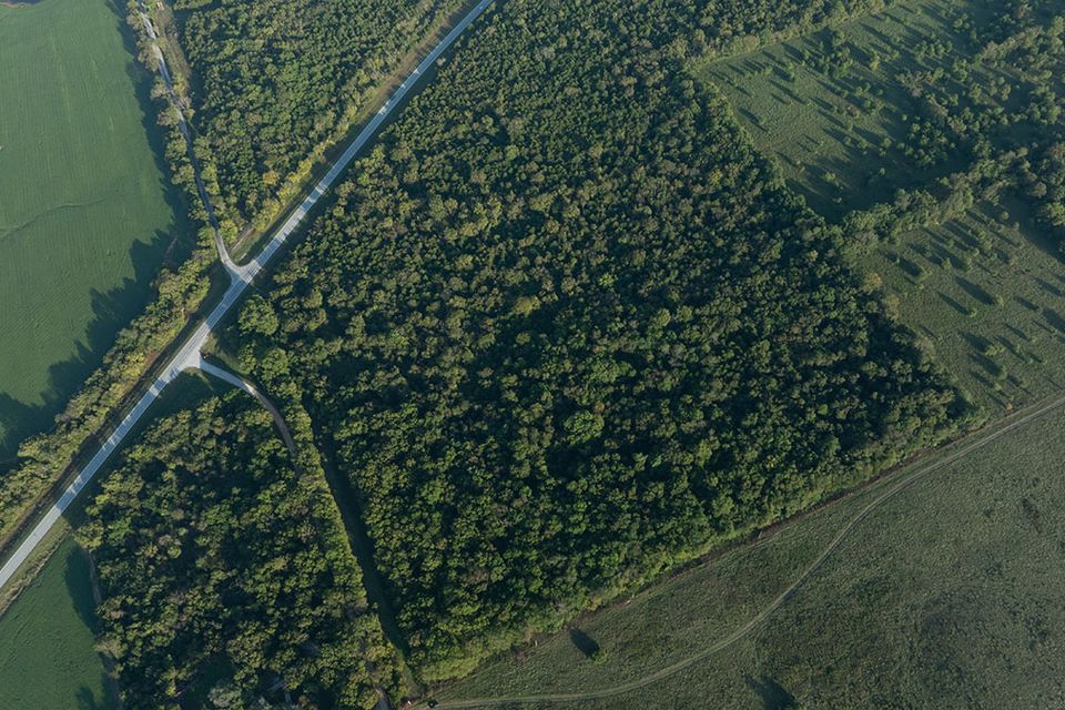 38 acres wentworth missouri 7
