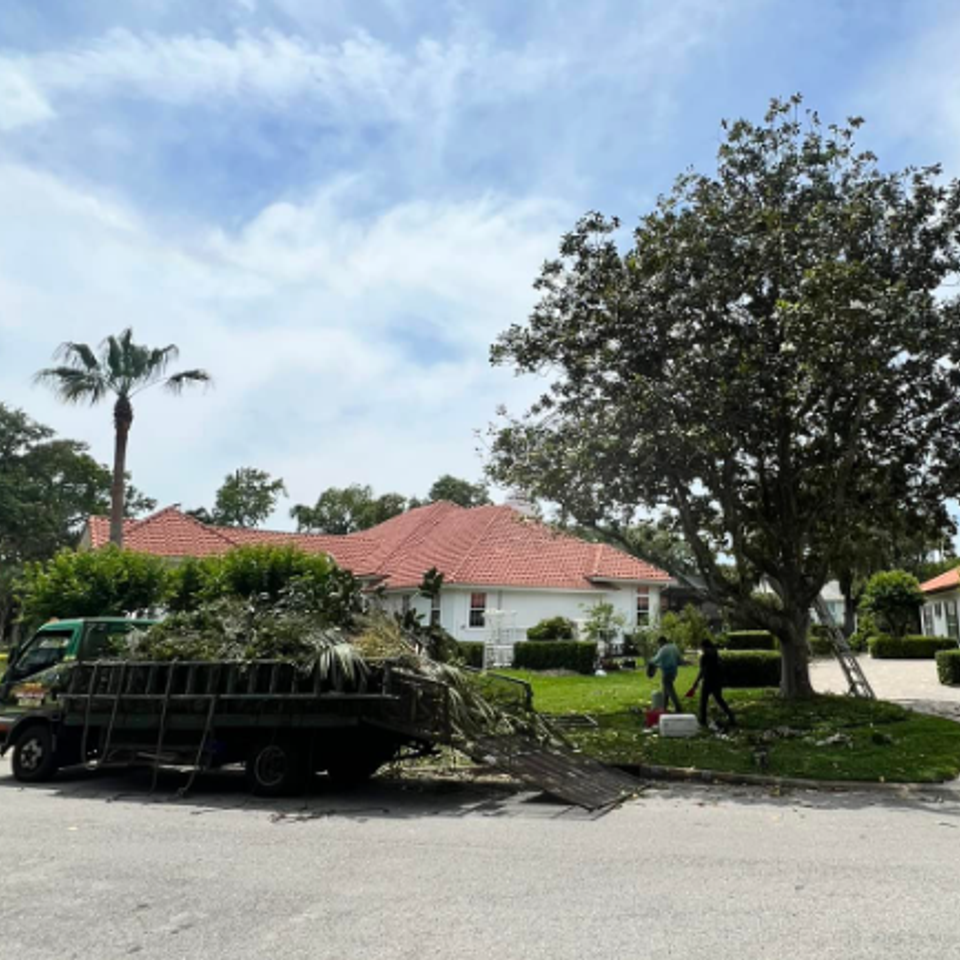 Screenshot 2025 10 20 081736