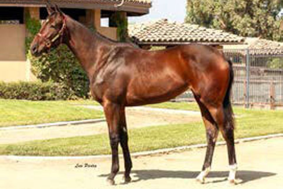 Hip 31