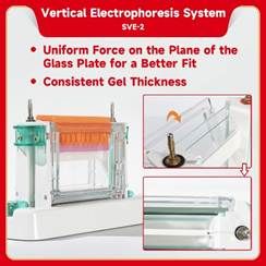 Vertical electrophoresis system be sve 2 3