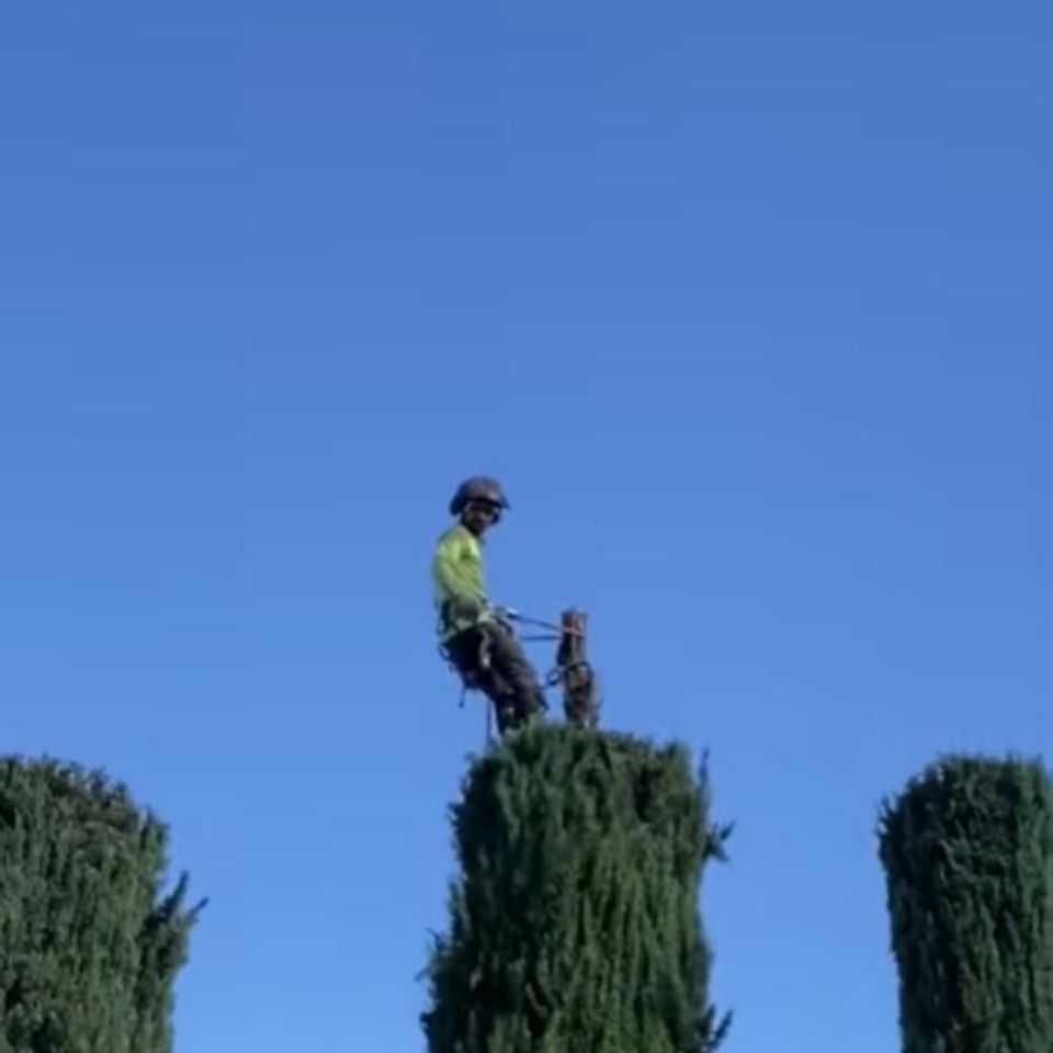 Img 20250820 wa0003