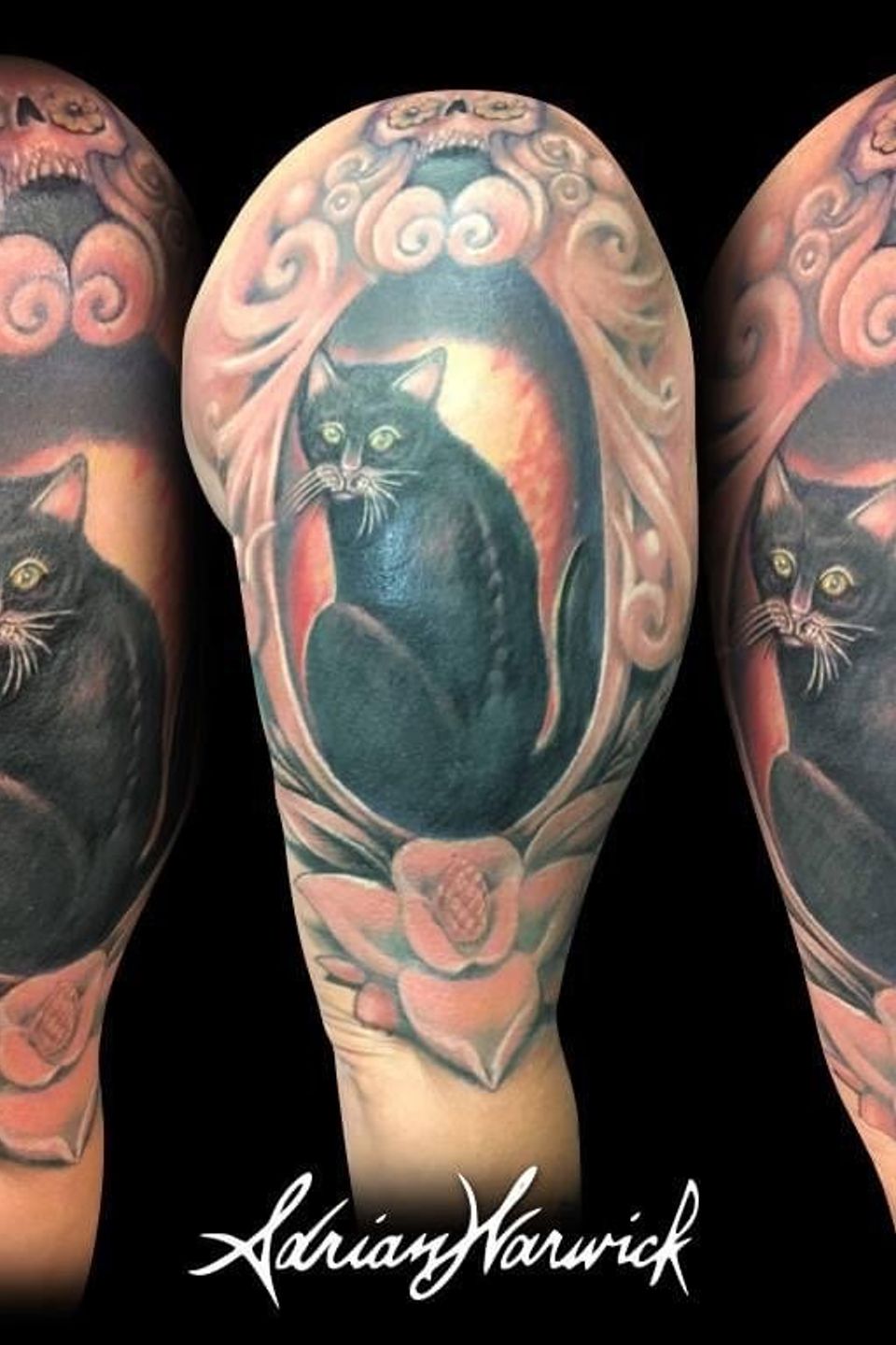 Adrian cat sleeve