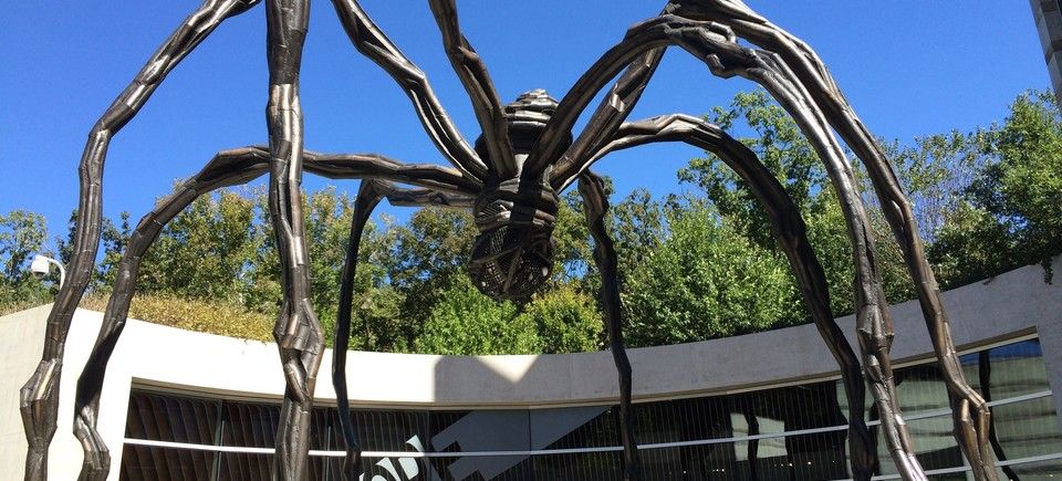 Spider20161004 17748 19zacrc