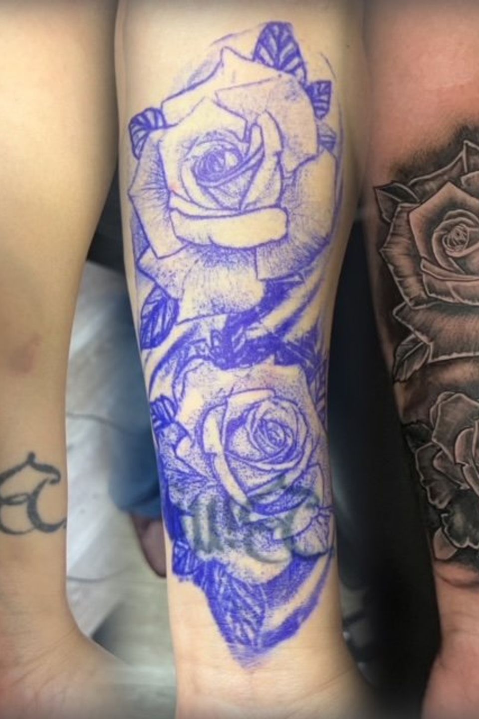 Josh roses cover up