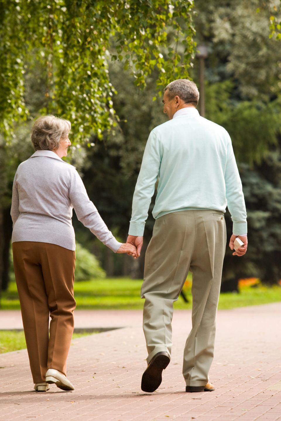 Rear view of senior couple walking down in park and chatting